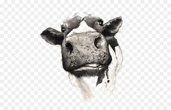 Cattle Drawing Watercolor painting - Drawing Cow 