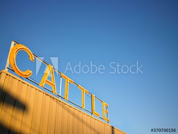cattle market