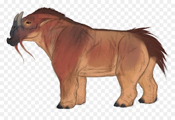 Cattle, Mustang, Terrestrial Animal, Mammal, Vertebrate PNG