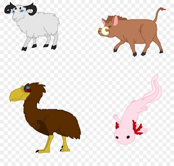 Cattle Sheep Goat Mammal - piggly wiggly 