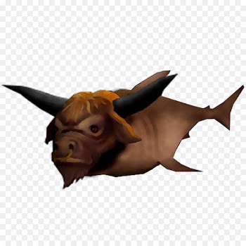 Cattle Snout -  