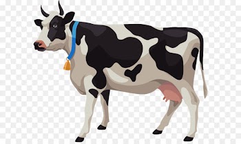 Cattle Stock illustration Stock photography Illustration - Vector cartoon cows 