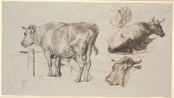 Cattle studies.TVthe bull Count Geert | Free Photo - rawpixel