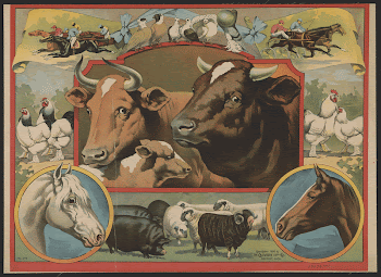 [Cattle surrounded by farm animals | Free Photo - rawpixel
