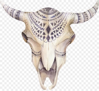 Cattle T-shirt Stock photography Skull Illustration - Skull 