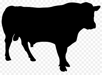 Cattle Vector graphics Clip art Royalty-free Illustration -  