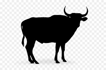 Cattle Vector graphics Clip art Silhouette Royalty-free -  