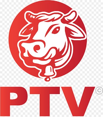 Cattle Vector graphics Stock photography Royalty-free Shutterstock -  