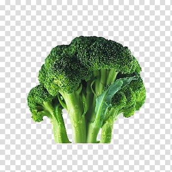 Cauliflower Broccoli Genital wart Vegetable Food, broccoli transparent background PNG clipart
