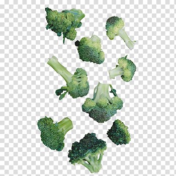 Cauliflower Broccoli Vegetable, Cauliflower transparent background PNG clipart