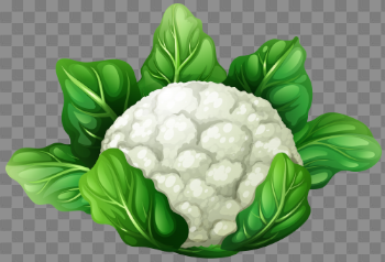 Cauliflower PNG Clip Art - Best WEB Clipart
