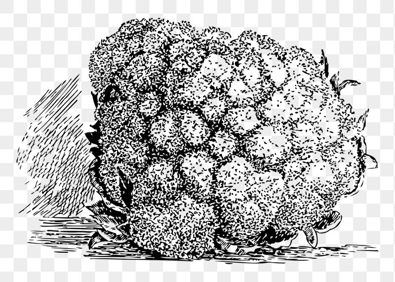 Cauliflower png sticker illustration, transparent | Free PNG - rawpixel