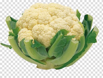 Cauliflower Red cabbage Vegetable Food, Green cabbage transparent background PNG clipart