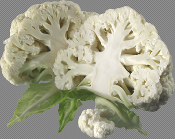 Cauliflower Slices transparent PNG - StickPNG