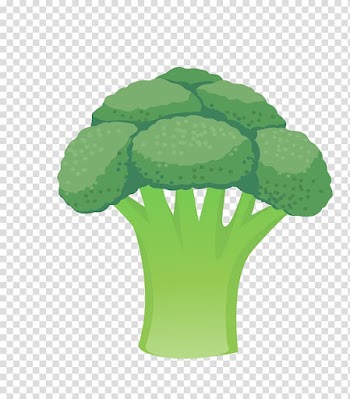 Cauliflower Vegetable Broccoli, cauliflower leaves transparent background PNG clipart
