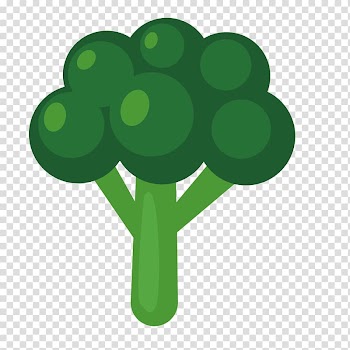Cauliflower Vegetable, cauliflower transparent background PNG clipart