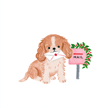 Cavalier King Charles Spaniel Puppy with Christmas Mail