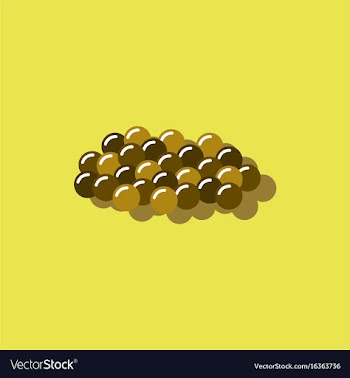 Caviar icon in sticker style vector image