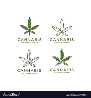 Cbd cannabis marijuana pot hemp leaf with line art vector image