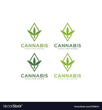 Cbd marijuana cannabis logo design vector image