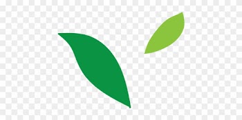 Cccccc-proofread And Edit Copy Of Up To 1000 Words - Editing