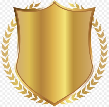 CCIE Certification Cisco Systems CCNA CCNP Cisco certifications - Golden Shield rice 
