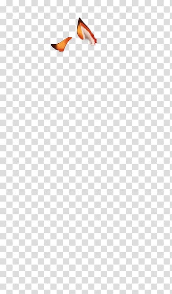 CDM Evento de Halloween ,  icon transparent background PNG clipart