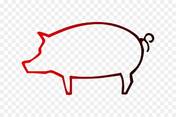 Cebu's Best Lechon Domestic pig Pork -  