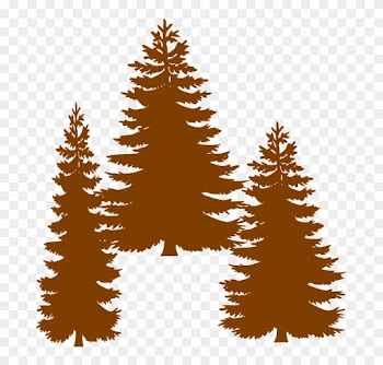 Cedar Tree Silhouette 25, - Tall Pine Tree Silhouette