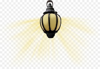 Ceiling Fixture Lighting Product design - coquelicot insignia 