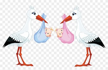 Celebrating 'birth' Days - Stork Baby