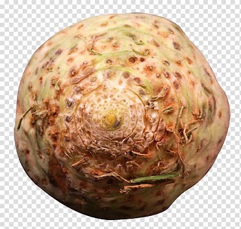 Celeriac Beef bourguignon Borscht Irish stew Vegetable, Fresh Celery Root transparent background PNG clipart