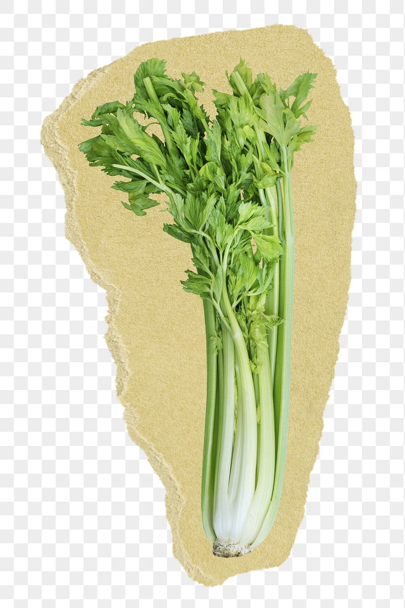Celery png ripped paper sticker, | Free PNG - rawpixel