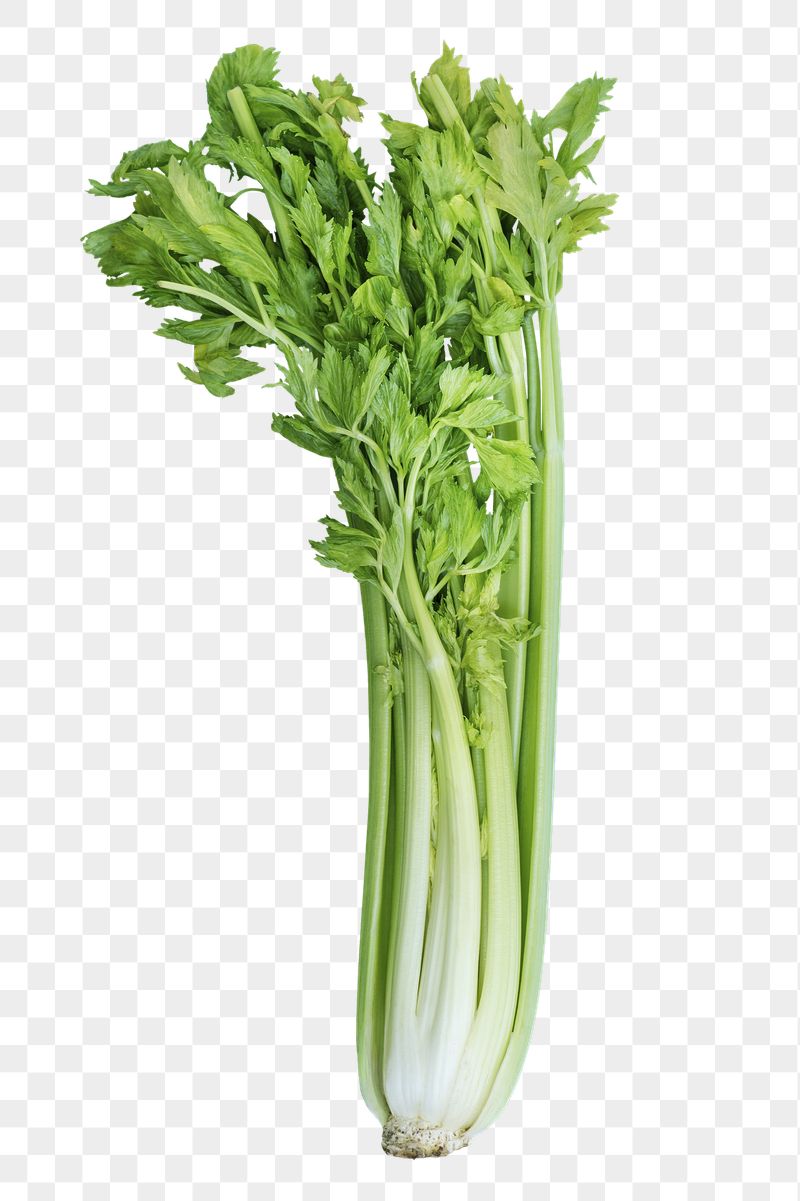 Celery png sticker, vegetable, food | Free PNG - rawpixel