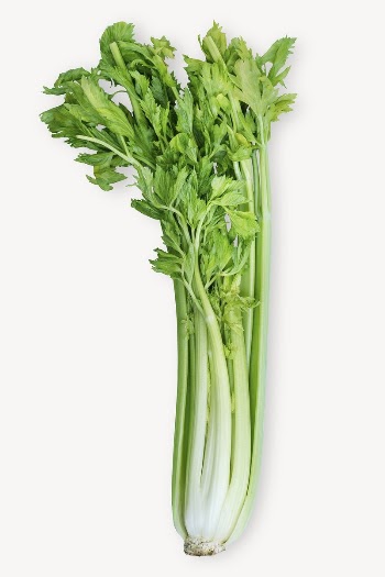 Celery sticker, vegetable, food ingredient | Free PSD - rawpixel