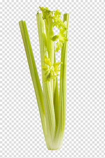 Celery Vegetable, Free pull celery transparent background PNG clipart