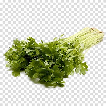 Celery , vegetable transparent background PNG clipart