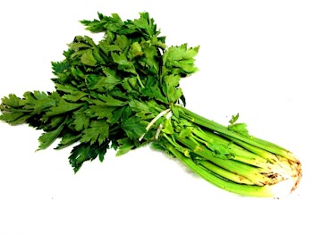 celery2_xenia.jpg