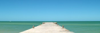 celestun_pier_wide.jpg