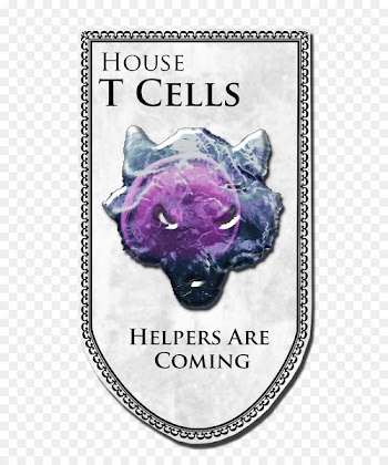 Cell type T cell Dendritic cell B cell BioLegend - T Cell 