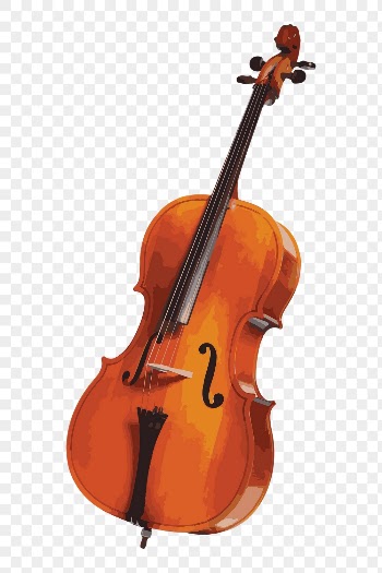Cello png sticker, transparent background. | Free PNG - rawpixel