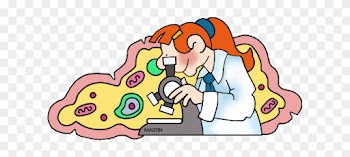 Cells - Cells Clipart