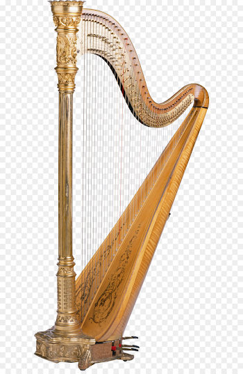 Celtic harp Musical instrument - Harp PNG png download - 1585*3336 ...