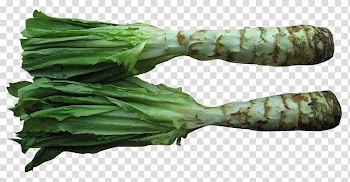 Celtuce Beef chow fun Vegetarian cuisine Vegetable, Celtuce transparent background PNG clipart