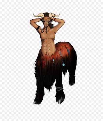 Centaur, Horse, Narnian Centaurs, Costume, Llama PNG