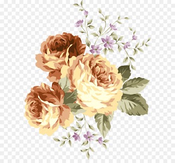 Centifolia roses Flower Euclidean vector - Flower pattern elements 