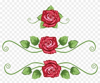 Centifolia Roses Flower Garden Roses Clip Art - Vector Roses