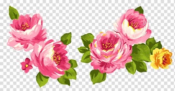 Centifolia roses Flower Pink Garden roses, watercolor rose transparent background PNG clipart