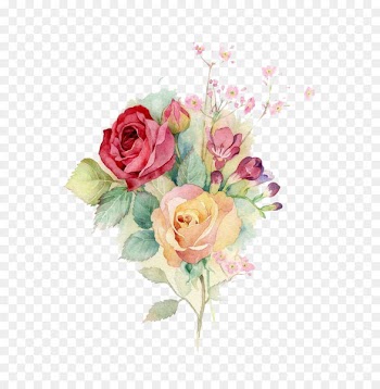 Centifolia roses Garden roses Floral design Flower bouquet Cut flowers - Watercolor flowers 