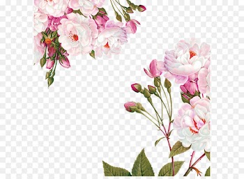 Centifolia roses Paper Flower Garden roses Party - Flowers decoration material 